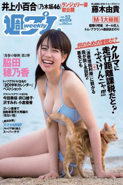 灰姑娘与四骑士