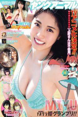 三年片大全免费观看大全动漫版