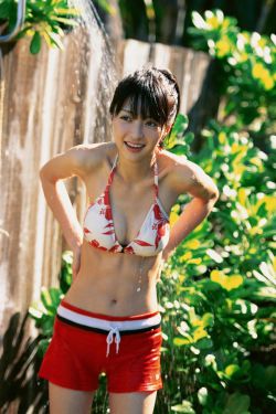 风筝电视剧剧情介绍